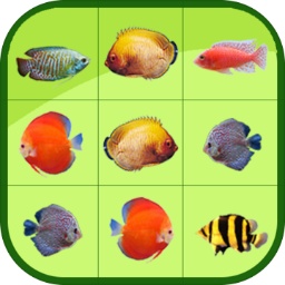 永利皇宫app